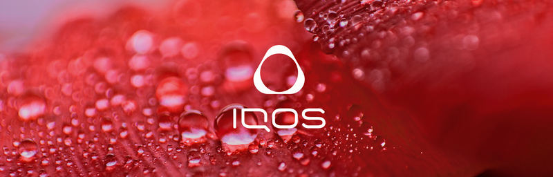 Terea-Ruby-Regular_NewsKV_pre-login.png